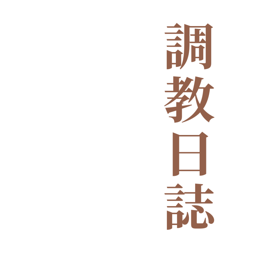 調教日誌   